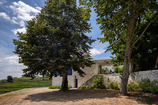 Casa Colina