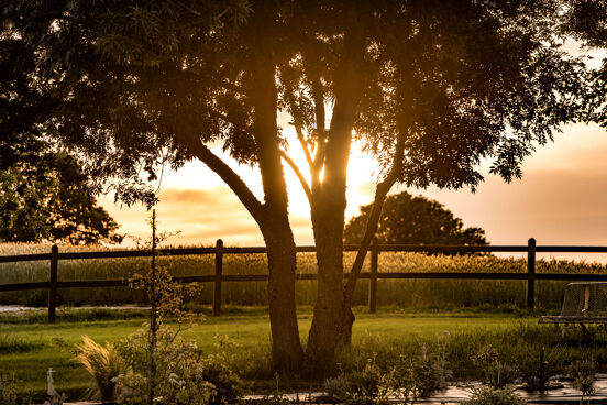 Domaine de la Huppe