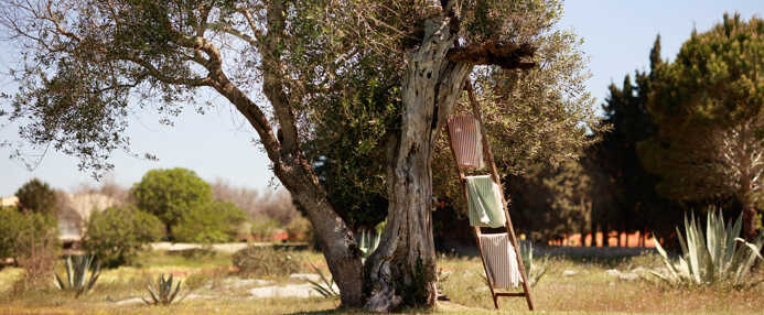 Masseria Bonaccia