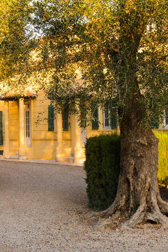 Domaine de la Tour