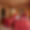 Chalet Foinsbois