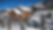 Chalet Foinsbois