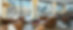 Chalet Iona