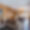 Appartement Cala 201