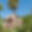 Villa Finca Son Luc