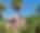Villa Finca Son Luc