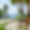 Villa Finca Son Luc