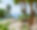 Villa Finca Son Luc