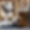 Chalet Otoctone