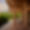 Chalet Otoctone