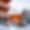 Chalet Eleonore