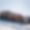 Chalet Eleonore