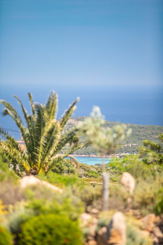 Villa Suarta