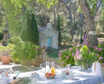 Domaine des Vignes