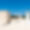 Masseria Bianconero
