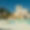 Masseria Bianconero