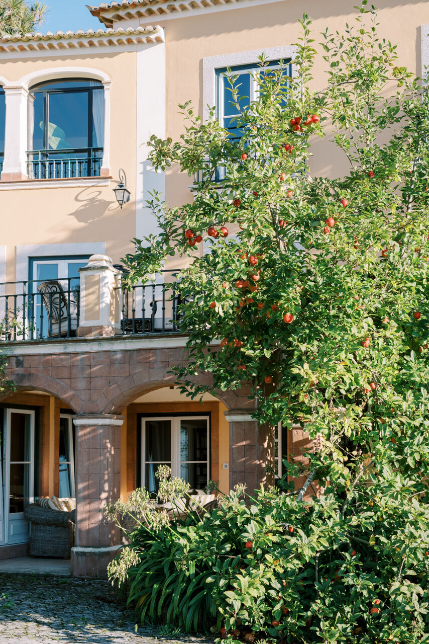 Villa Camelia & Monserrate