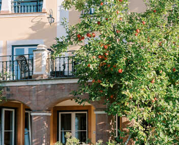 Villa Camelia & Monserrate