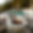 Domaine Monserrate