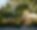 Domaine Monserrate