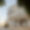 Domaine Monserrate
