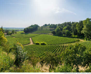 Château Hippolyte
