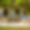 Villa Floris