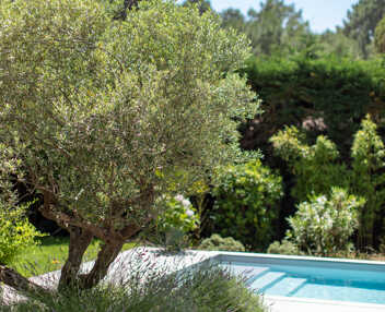 Villa des Oiseaux