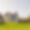 Domaine de l'Abbaye