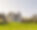 Domaine de l'Abbaye