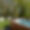 Chalet Belle Brise