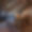 Penthouse Foret Du Praz 5