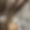 Penthouse Foret Du Praz 5