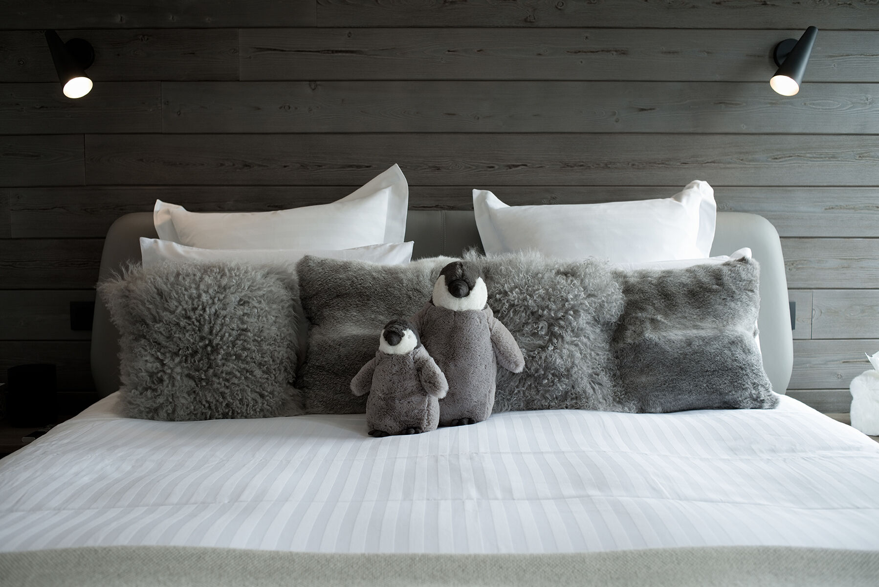 Penthouse Ourse Polaire