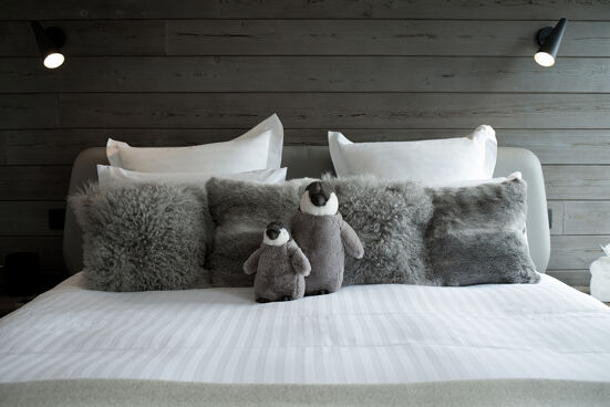 Penthouse Ourse Polaire