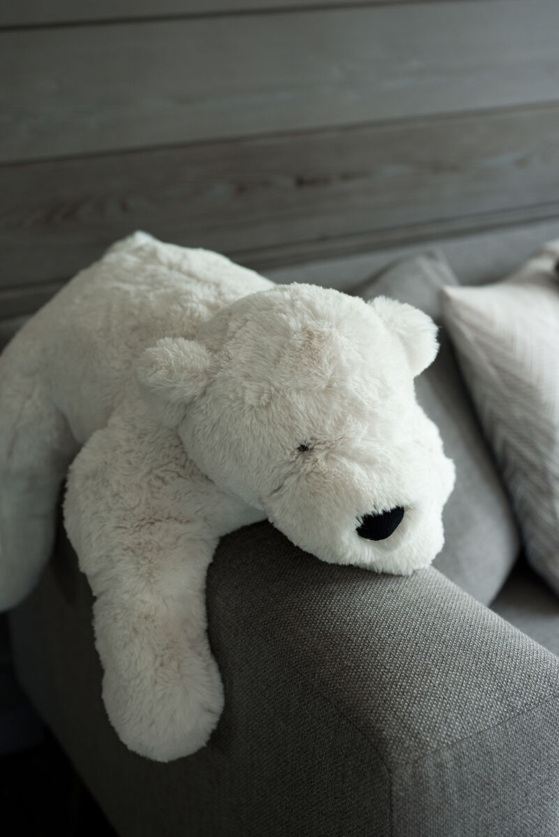 Penthouse Ourse Polaire