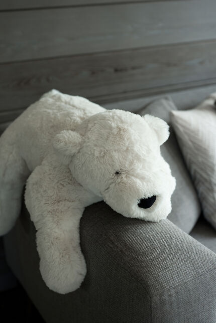 Penthouse Ourse Polaire