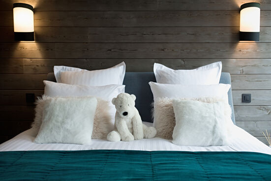 Penthouse Ourse Polaire