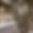 Appartement Le Pralong 601