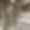 Appartement Le Pralong 601
