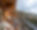 Appartement Breithorn