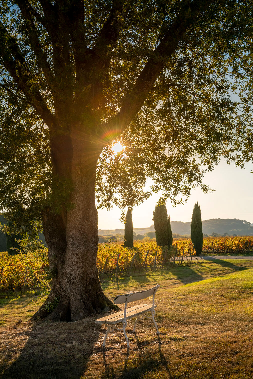 Chateau Toulouse-Lautrec
