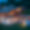 Chalet La Connivence