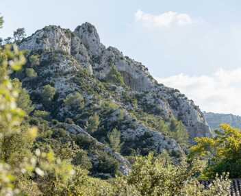 Mas de la Pinède