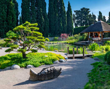 Domaine Estello