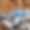 Chalet Foulon