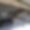 Chalet Foulon