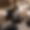 Chalet Foulon