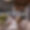 Chalet Elbrus