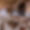 Chalet Elbrus